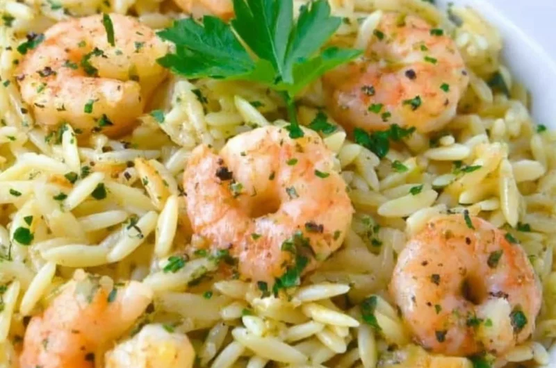 Plate of easy and delicious shrimp scampi orzo garnished with parsley
