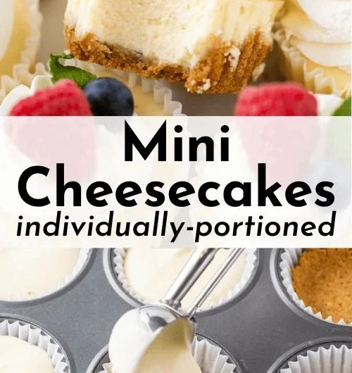 Easy mini cheesecakes with colorful toppings served on a dessert plate