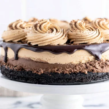 Decadent Mocha Cheesecake topped with cocoa and coffee flavors