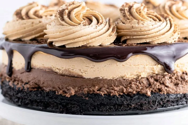 Decadent Mocha Cheesecake topped with cocoa and coffee flavors