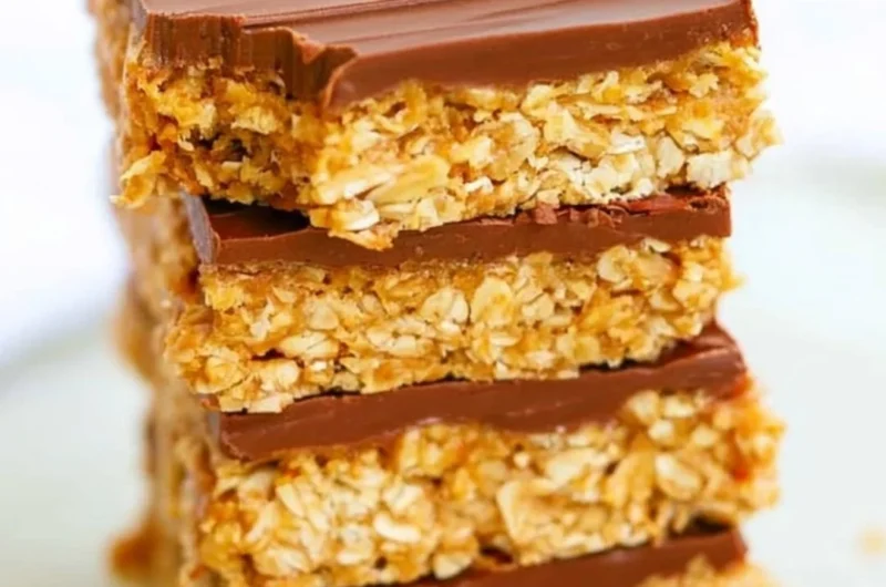 Healthy chocolate peanut butter oatmeal bars with ingredients and texture.